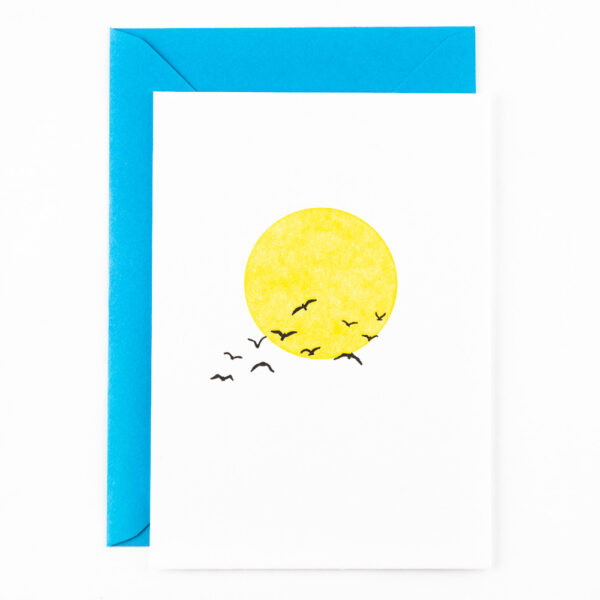 P08 ‘birds flying in the sun’ x 6
