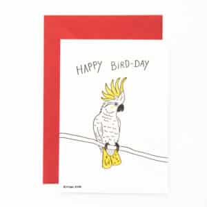 B19 ‘Happy Bird-day’