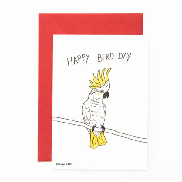 B19 ‘Happy Bird-day’