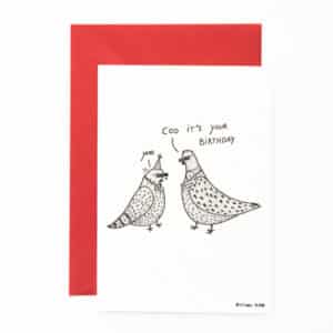 B21 ‘cool birthday pigeons’ x6