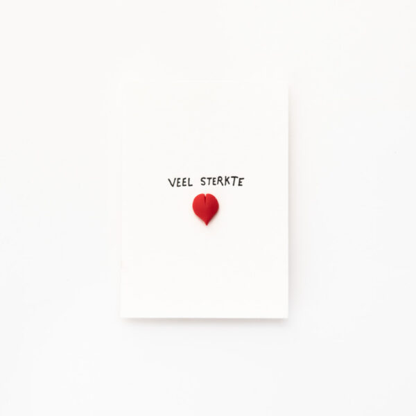 PIN 029 ‘veel sterkte’ x6