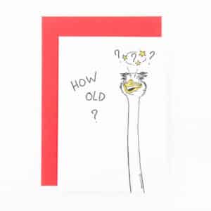 A23 'how old? ostrich' x6