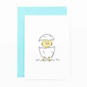 D01 'newborn chick' x6