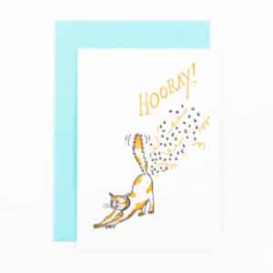 B41 'hooray confetti cat fart' x6