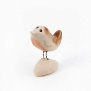 BOX 001 "happy bird day" x6